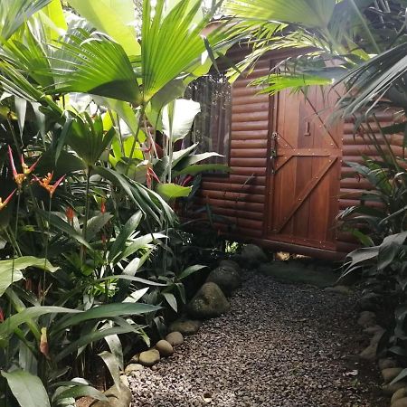 Arenal Rustic Lodge Alajuela Exteriér fotografie