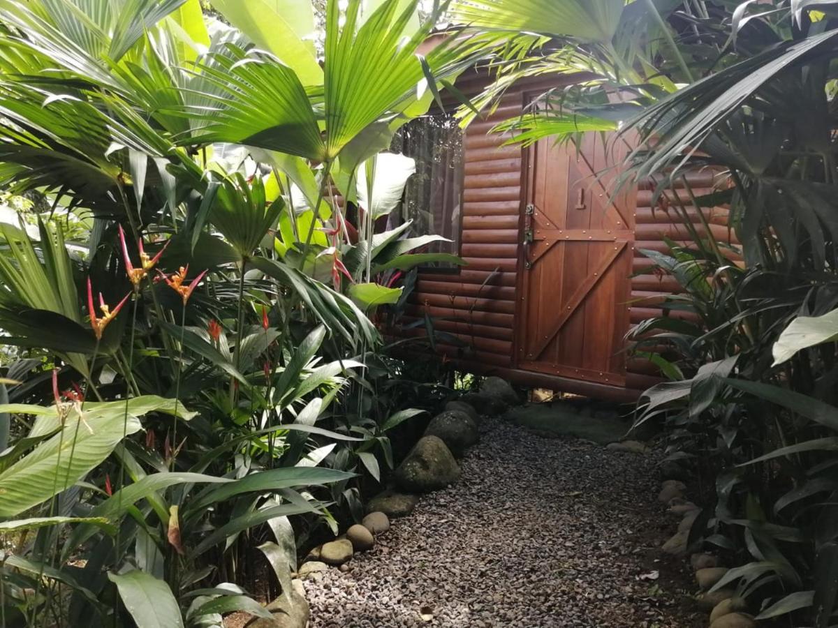 Arenal Rustic Lodge Alajuela Exteriér fotografie
