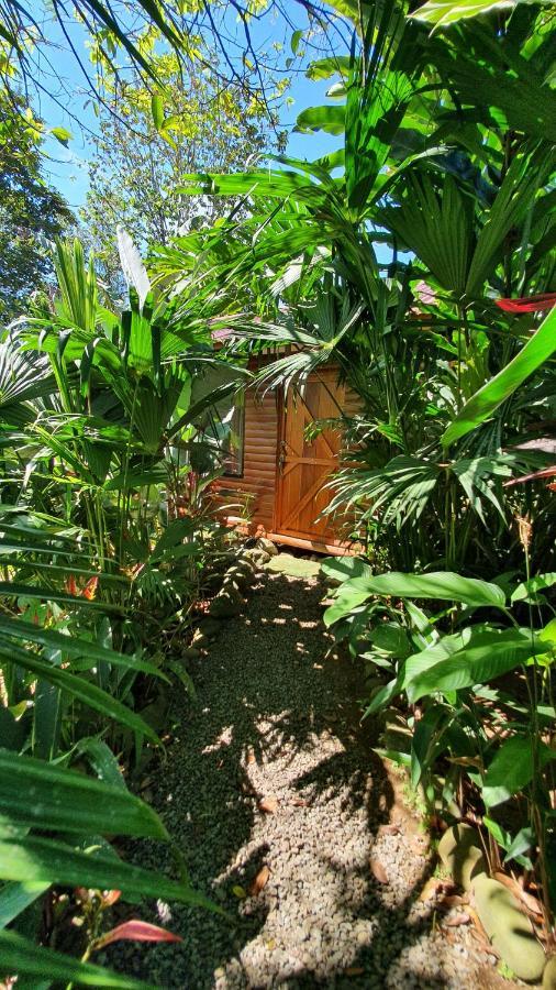 Arenal Rustic Lodge Alajuela Exteriér fotografie